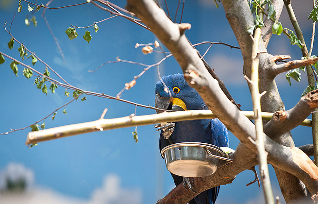 ddos压力在线测试平台