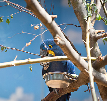 CC在线压力测试