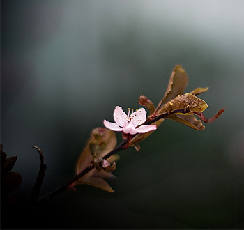 ddos在线攻击工具