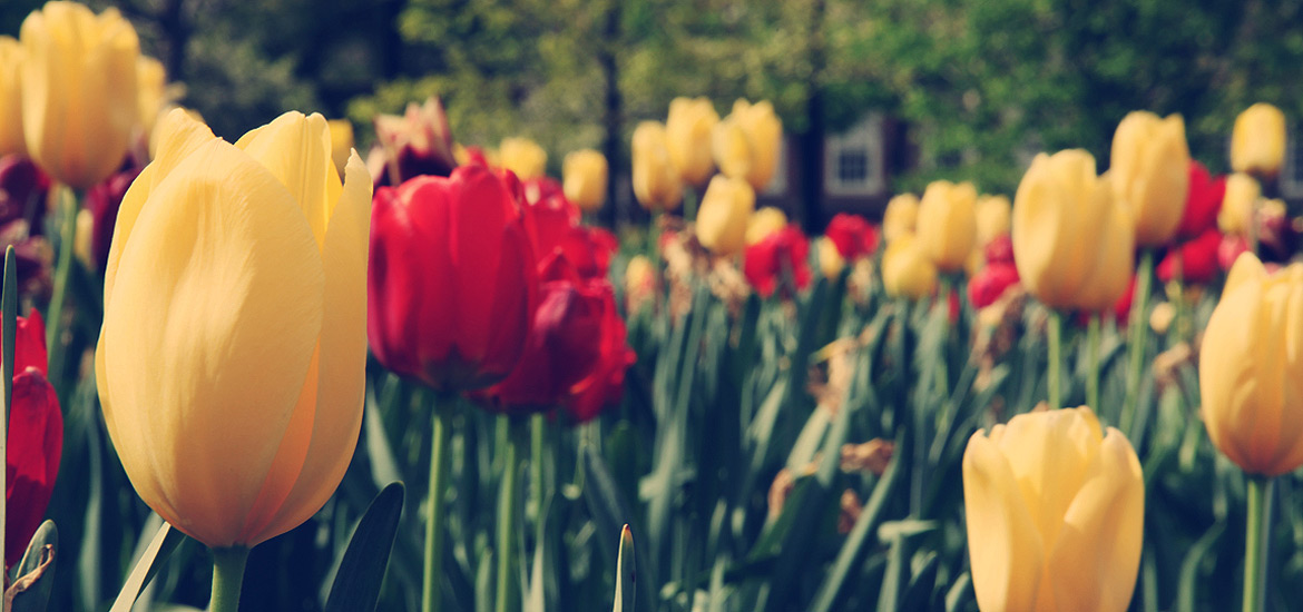 网站攻击软件工具