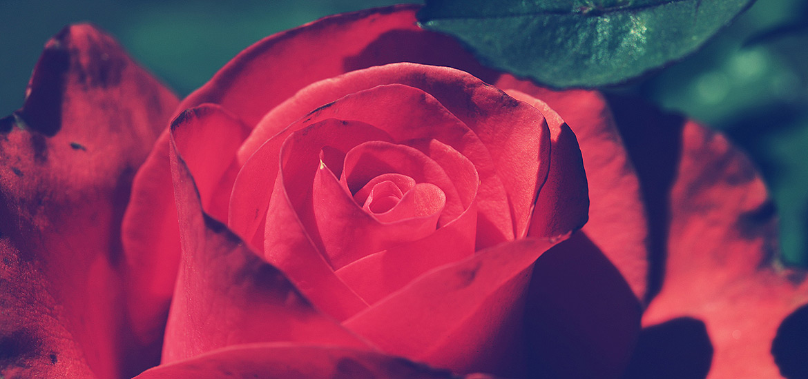 CC在线压力测试